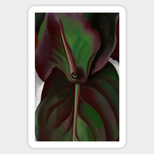 High Resolution Canna Leaves by Georgia O'Keeffe Sticker